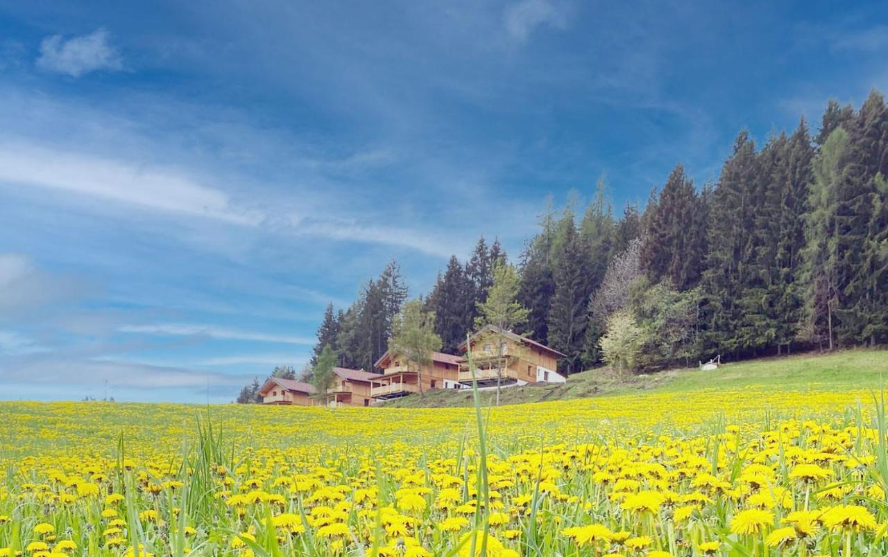 Hochleben-Chalets Am Erlebnisbauernhof Steinerhof Liebenfels Luaran gambar