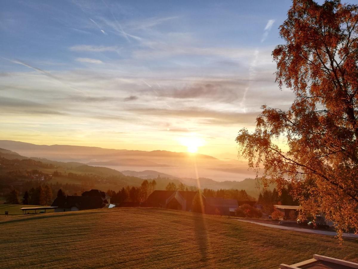 Hochleben-Chalets Am Erlebnisbauernhof Steinerhof Liebenfels Luaran gambar