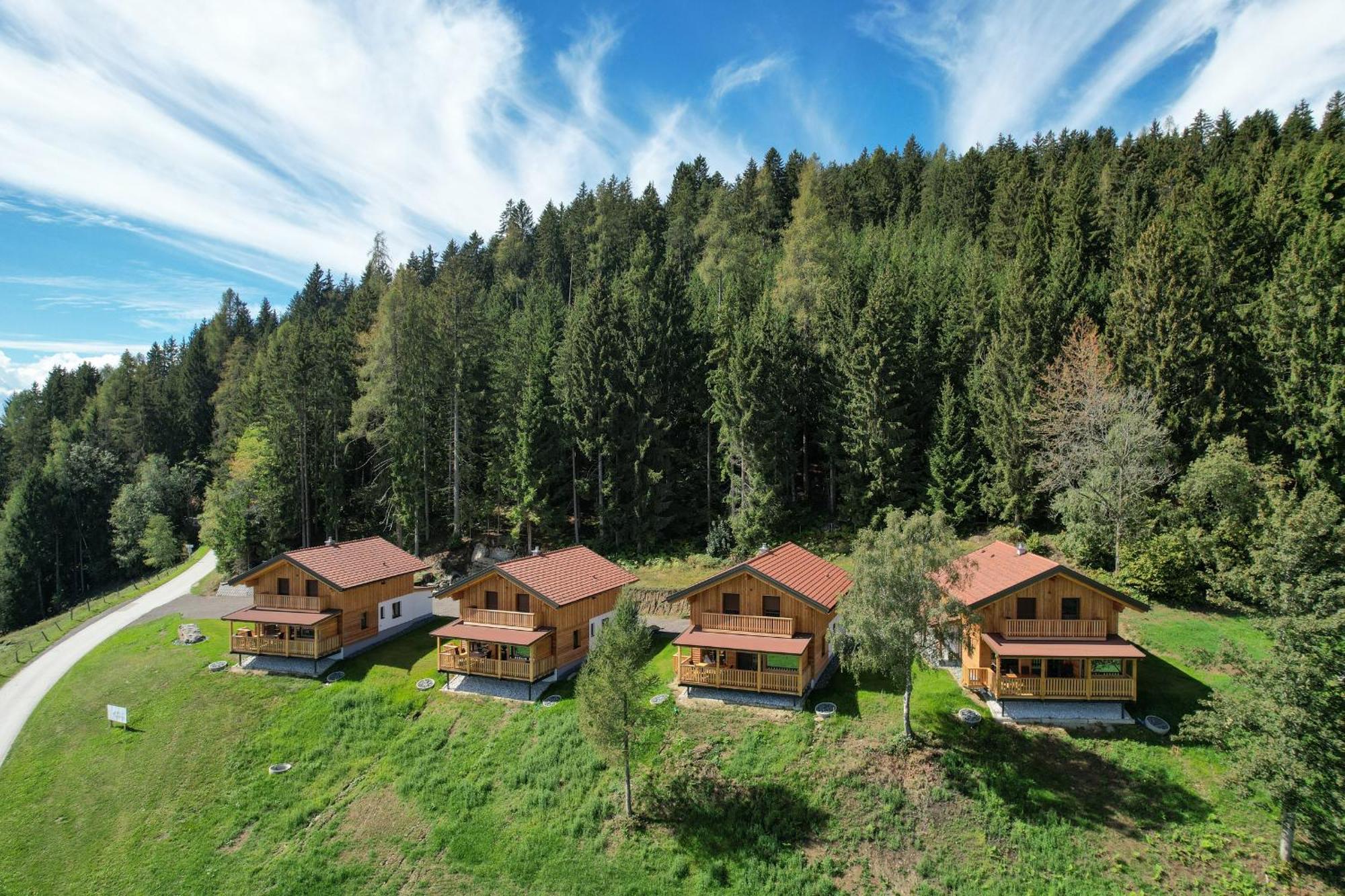 Hochleben-Chalets Am Erlebnisbauernhof Steinerhof Liebenfels Luaran gambar